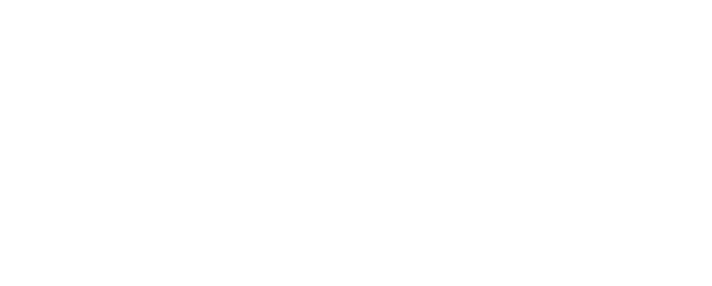 The Plug, Your Liver's Sidekick