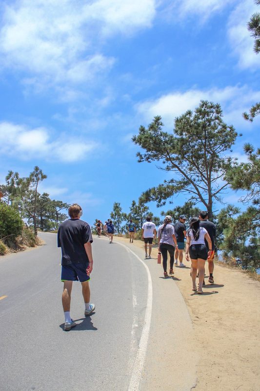 Friends walking a coastal trail